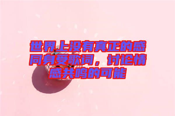 世界上沒(méi)有真正的感同身受歌詞，討論情感共鳴的可能