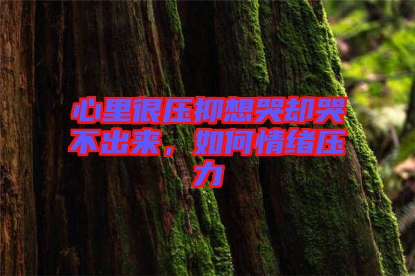 心里很壓抑想哭卻哭不出來(lái)，如何情緒壓力