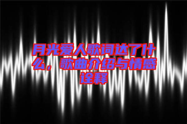 月光愛人歌詞達(dá)了什么，歌曲介紹與情感詮釋
