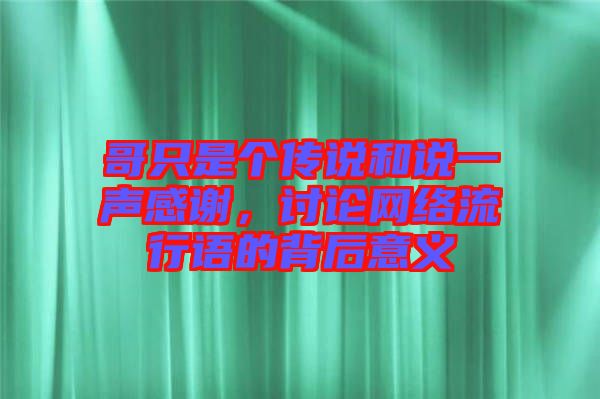 哥只是個傳說和說一聲感謝，討論網(wǎng)絡流行語的背后意義