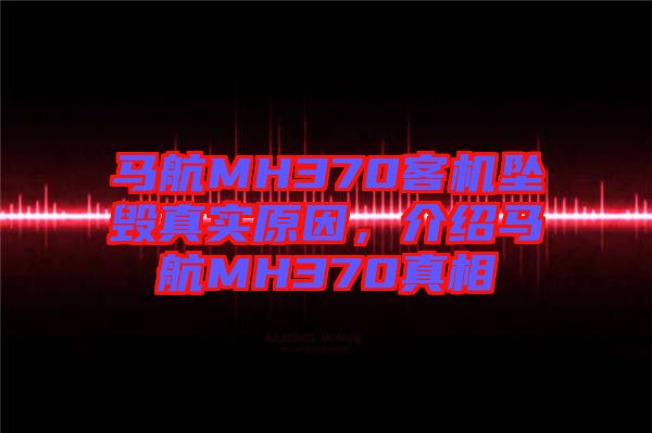 馬航MH370客機墜毀真實原因，介紹馬航MH370真相