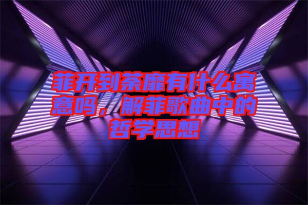 菲開到荼靡有什么寓意嗎，解菲歌曲中的哲學思想