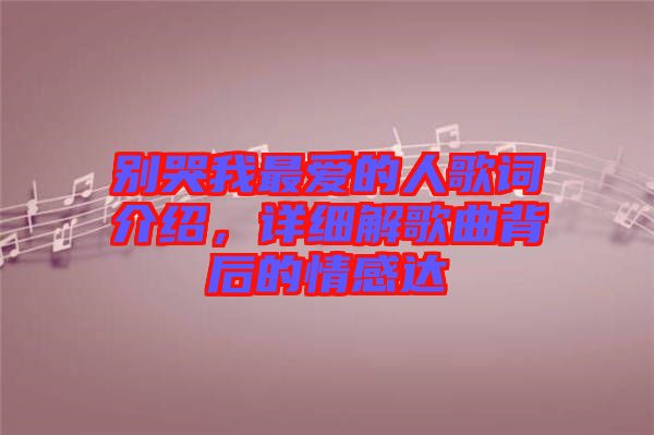 別哭我最愛的人歌詞介紹，詳細(xì)解歌曲背后的情感達