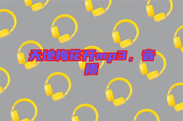 天地梅花開mp3，音質(zhì)