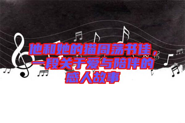 他和她的貓周蕩書佳，一段關(guān)于愛與陪伴的感人故事