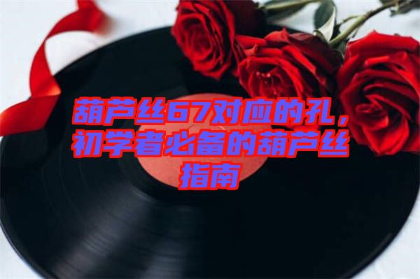 葫蘆絲67對應(yīng)的孔，初學(xué)者必備的葫蘆絲指南