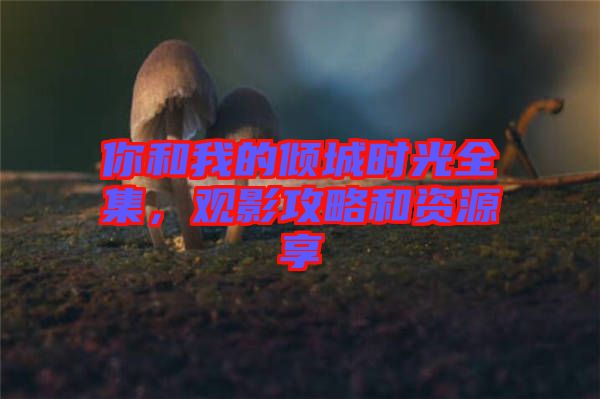 你和我的傾城時(shí)光全集，觀影攻略和資源享