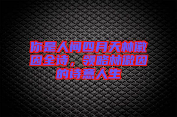 你是人間四月天林徽因全詩，領(lǐng)略林徽因的詩意人生