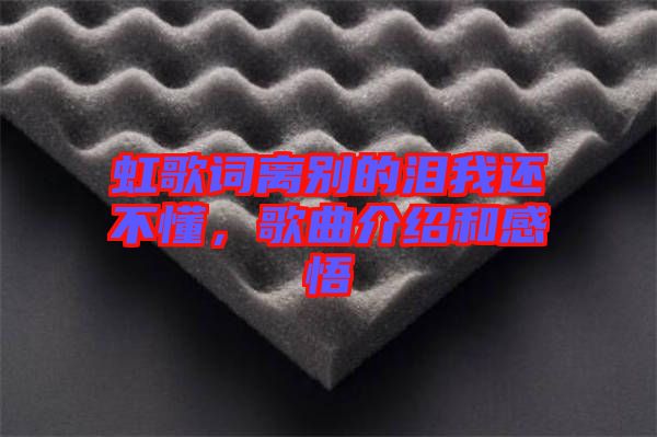 虹歌詞離別的淚我還不懂，歌曲介紹和感悟