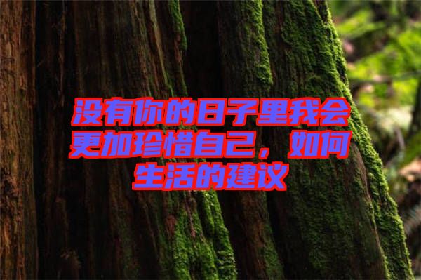 沒有你的日子里我會更加珍惜自己，如何生活的建議