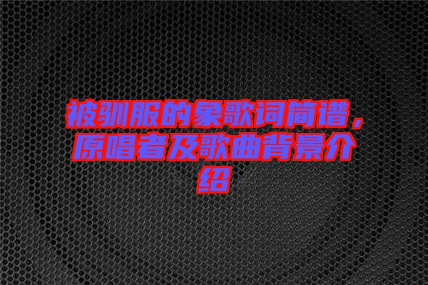 被馴服的象歌詞簡譜，原唱者及歌曲背景介紹