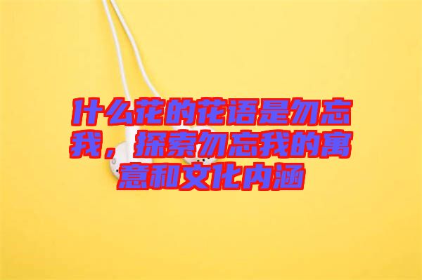 什么花的花語是勿忘我，探索勿忘我的寓意和文化內(nèi)涵