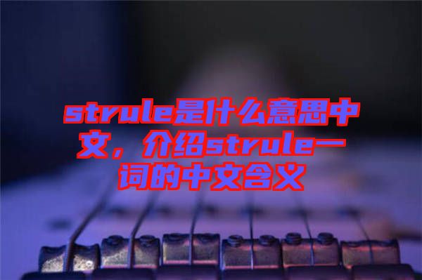 strule是什么意思中文，介紹strule一詞的中文含義