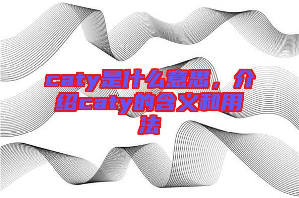 caty是什么意思，介紹caty的含義和用法