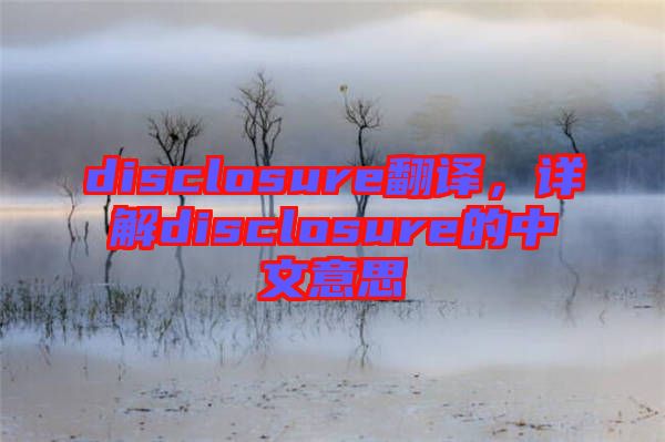 disclosure翻譯，詳解disclosure的中文意思
