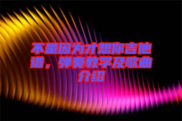 不是因?yàn)椴畔肽慵V，彈奏教學(xué)及歌曲介紹