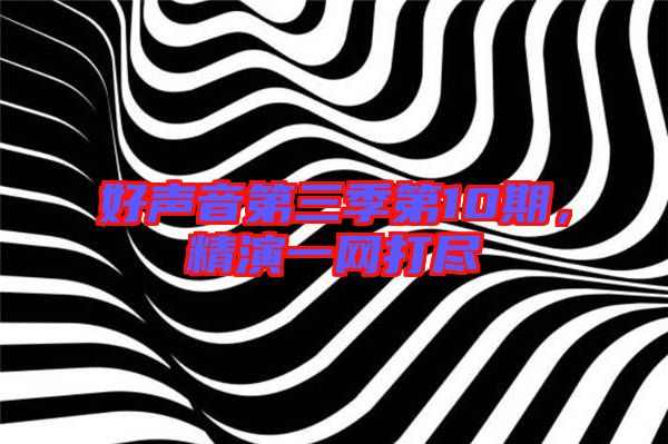 好聲音第三季第10期，精演一網(wǎng)打盡