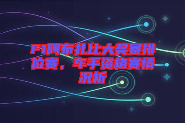 F1阿布扎比大獎賽排位賽，車手資格賽情況析