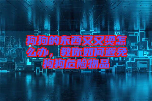 狗狗的東西又又燙怎么辦，教你如何避免狗狗危險(xiǎn)物品