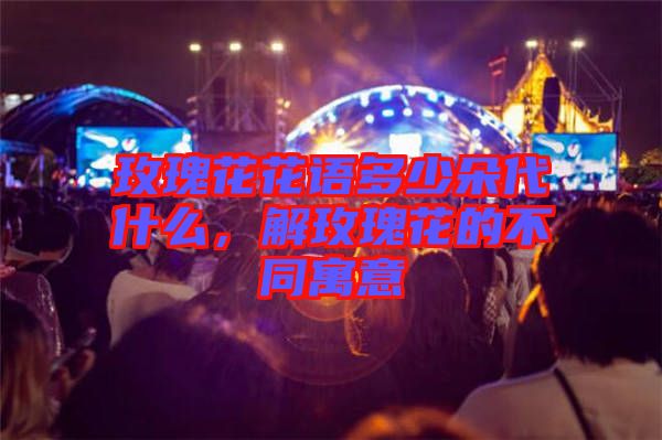 玫瑰花花語多少朵代什么，解玫瑰花的不同寓意