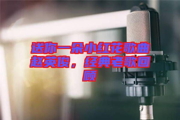 送你一朵小紅花歌曲趙英俊，經典老歌回顧