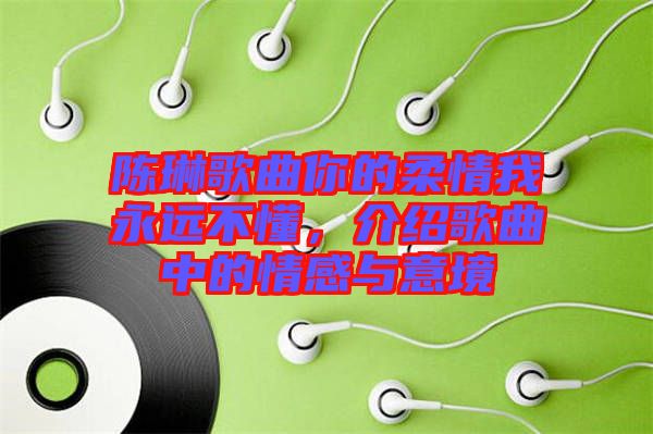 陳琳歌曲你的柔情我永遠(yuǎn)不懂，介紹歌曲中的情感與意境