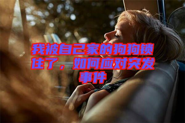 我被自己家的狗狗鎖住了，如何應(yīng)對(duì)突發(fā)事件