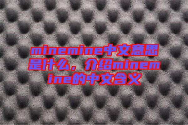 minemine中文意思是什么，介紹minemine的中文含義