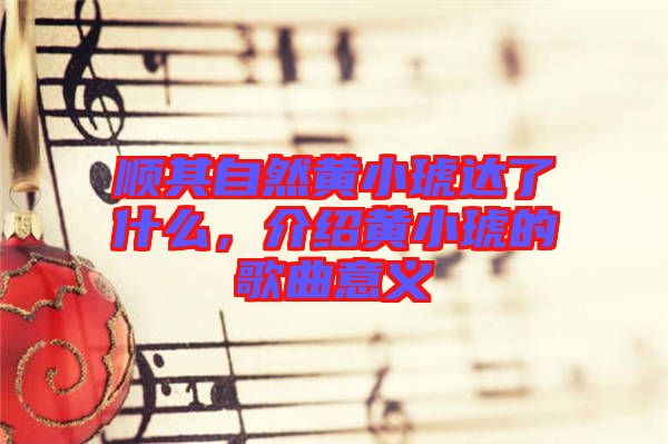 順其自然黃小琥達(dá)了什么，介紹黃小琥的歌曲意義