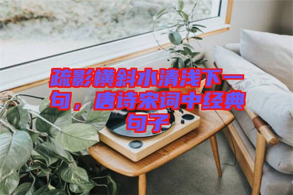 疏影橫斜水清淺下一句，唐詩(shī)宋詞中經(jīng)典句子