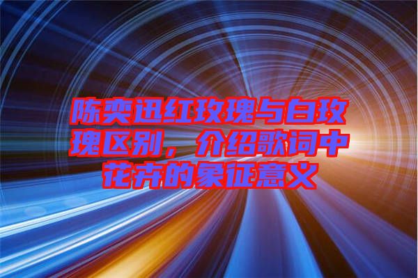 陳奕迅紅玫瑰與白玫瑰區(qū)別，介紹歌詞中花卉的象征意義