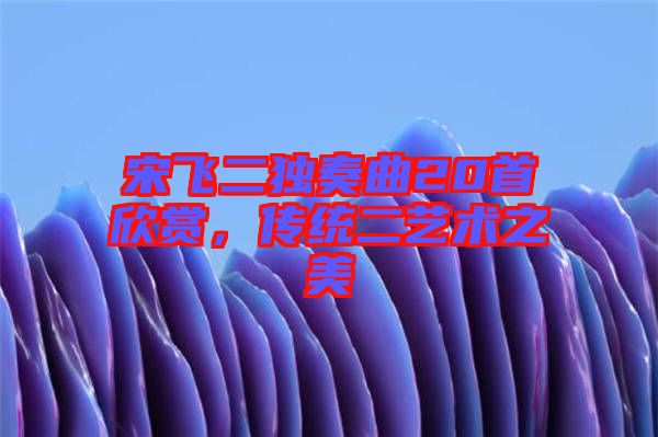 宋飛二獨(dú)奏曲20首欣賞，傳統(tǒng)二藝術(shù)之美
