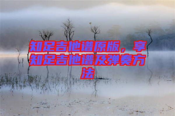 知足吉他譜原版，享知足吉他譜及彈奏方法