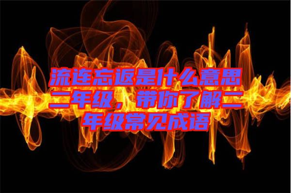 流連忘返是什么意思二年級，帶你了解二年級常見成語