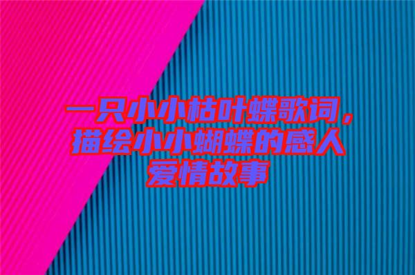 一只小小枯葉蝶歌詞，描繪小小蝴蝶的感人愛情故事