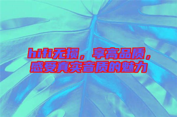 hifi無損，享高品質，感受真實音質的魅力