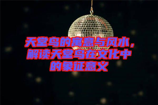天堂鳥(niǎo)的寓意與風(fēng)水，解讀天堂鳥(niǎo)在文化中的象征意義