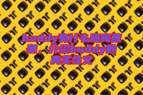 buddy有什么隱晦意思，介紹buddy的真實含義