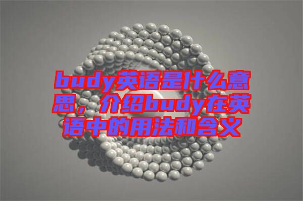 budy英語(yǔ)是什么意思，介紹budy在英語(yǔ)中的用法和含義