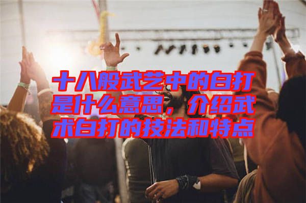 十八般武藝中的白打是什么意思，介紹武術(shù)白打的技法和特點(diǎn)