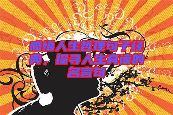 感悟人生哲理句子經(jīng)典，探尋人生真諦的名言句