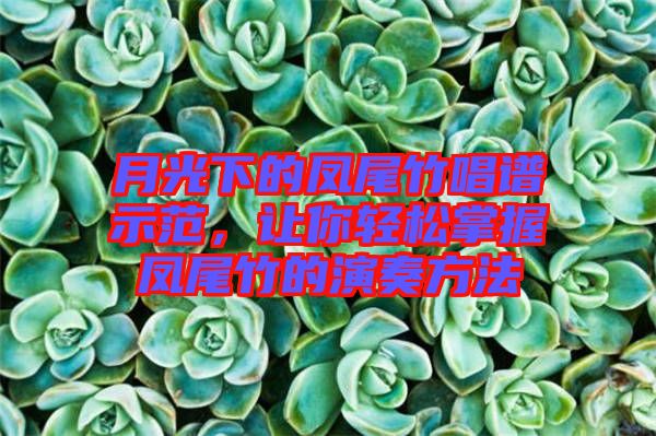 月光下的鳳尾竹唱譜示范，讓你輕松掌握鳳尾竹的演奏方法