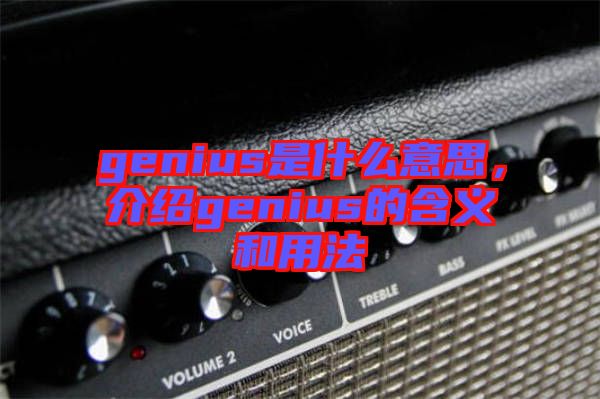 genius是什么意思，介紹genius的含義和用法