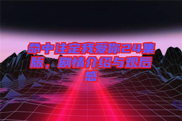 命中注定我愛你24集版，劇情介紹與觀后感