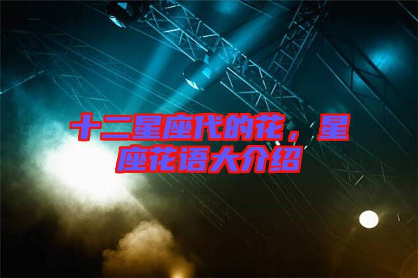 十二星座代的花，星座花語大介紹