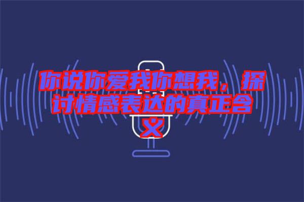 你說你愛我你想我，探討情感表達的真正含義