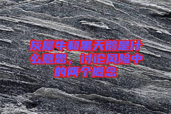 灰犀牛和黑天鵝是什么意思，討論風險中的兩個概念