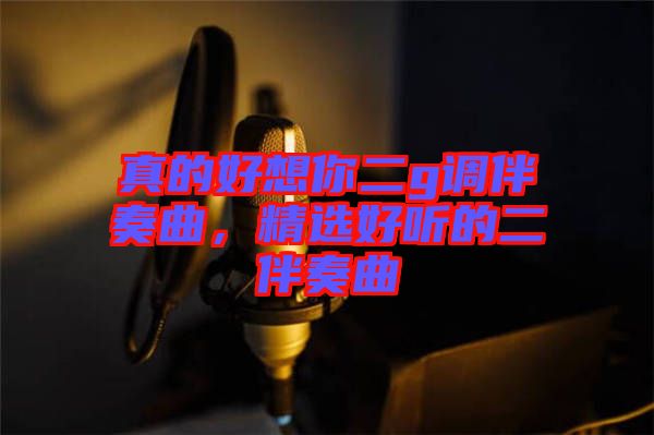 真的好想你二g調(diào)伴奏曲，精選好聽的二伴奏曲