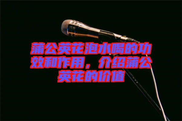 蒲公英花泡水喝的功效和作用，介紹蒲公英花的價值