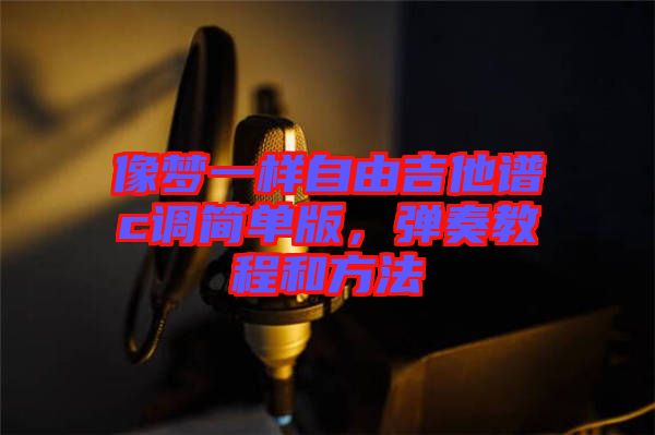 像夢一樣自由吉他譜c調(diào)簡單版，彈奏教程和方法